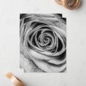 Roos Petals 5 Notitiekaartje (Voorkant / Achterkant in situ)