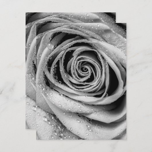 Roos Petals 5 Notitiekaartje (Voorkant / Achterkant)