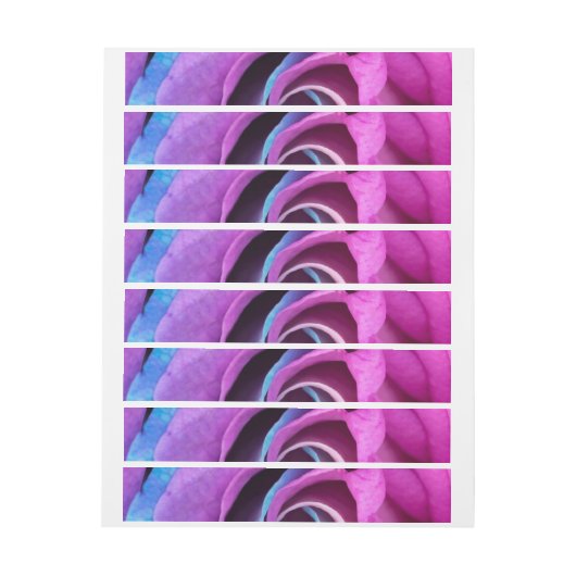 Roos Petals 6 (Vel)