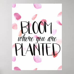Roos Petals Bloom Poster