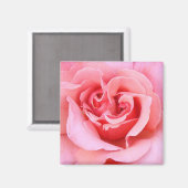 Roos Petals Magneet (Voorkant / Achterkant)