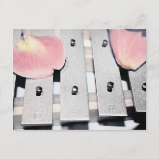 Roos Petals op metaal in de vette stijl Briefkaart