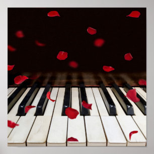 Roos Petals op Piano Keys Poster