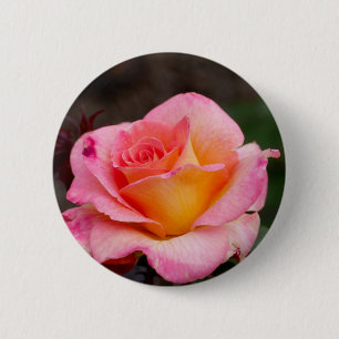 Roos pincode Button