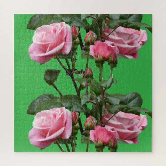 Roos PINK ENGLISH Legpuzzel (Verticaal)