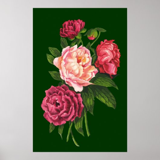 Roos Pink Peony Garden Flower Poster (Voorkant)