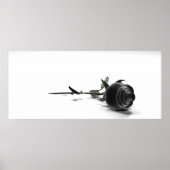 roos poster (Voorkant)