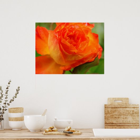 Roos Poster (Keuken)