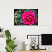 Roos, Poster (Thuiskantoor)