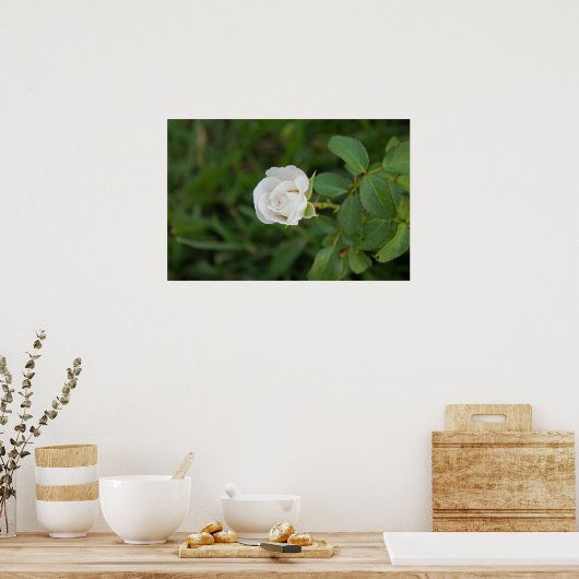 Roos Poster (Keuken)