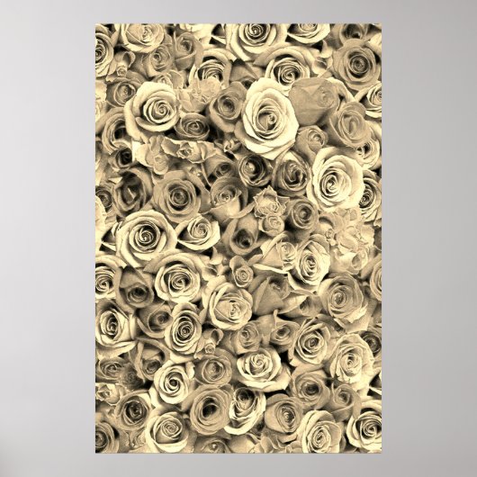 Roos Poster (Voorkant)