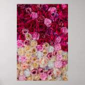 Roos Poster (Voorkant)