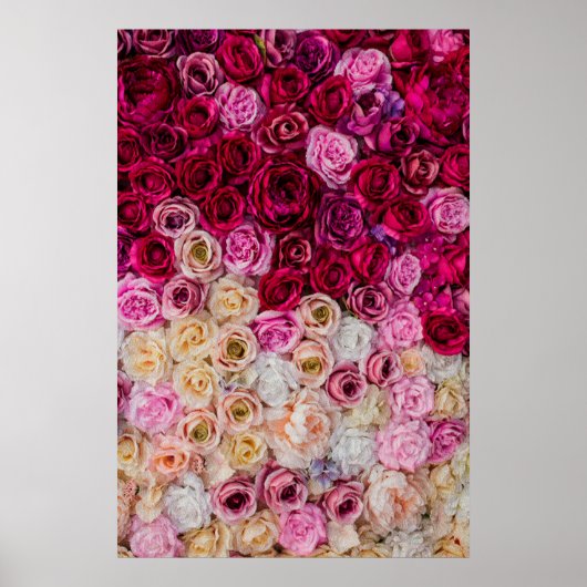 Roos Poster (Voorkant)