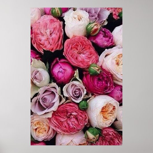 Roos Poster (Voorkant)