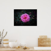 Roos, Poster (Keuken)