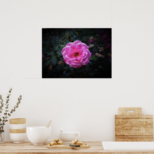 Roos, Poster (Keuken)