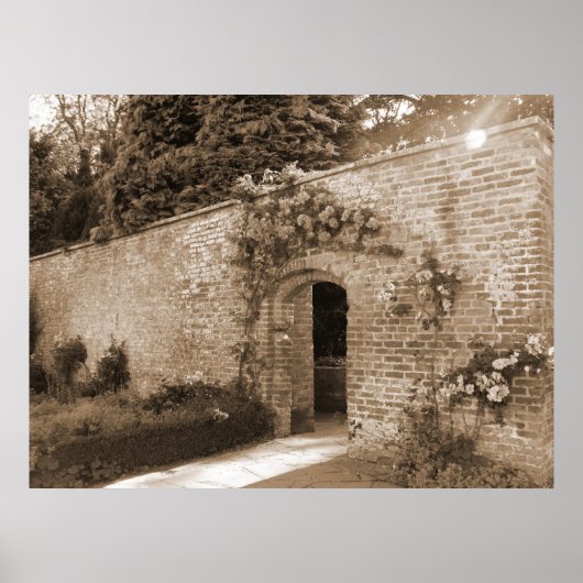 Roos Poster (Voorkant)