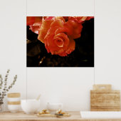 roos poster (Keuken)