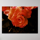 roos poster (Voorkant)