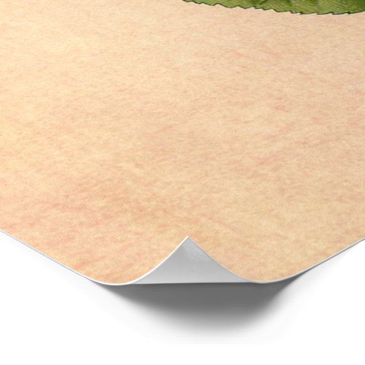  Roos Poster afdrukken (Hoek)