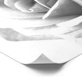 Roos Poster afdrukken (Hoek)