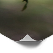 Roos Poster met dauwkusten 16x20 ROOS & PROSE (Hoek)