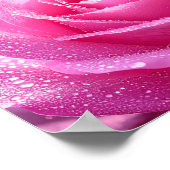 Roos Poster van Frederic Mistral Roos gekust door (Hoek)