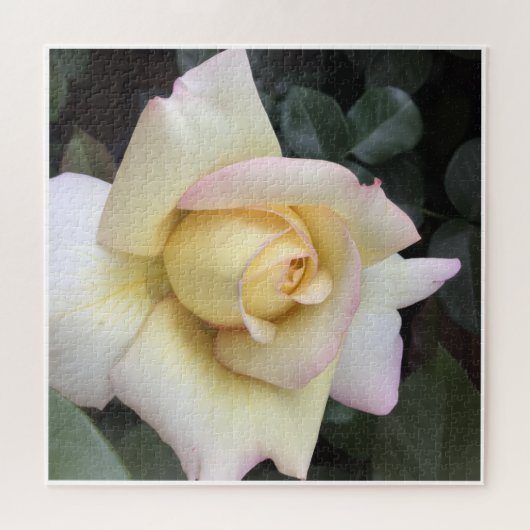 Roos Puzzel (Horizontaal)