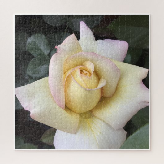 Roos Puzzel (Verticaal)