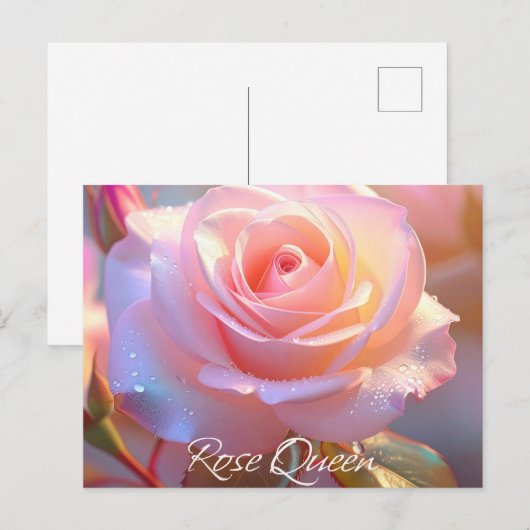 Roos Queen (iriserende editie) Briefkaart (Voorkant / Achterkant)