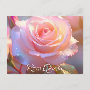 Roos Queen (iriserende editie) Briefkaart