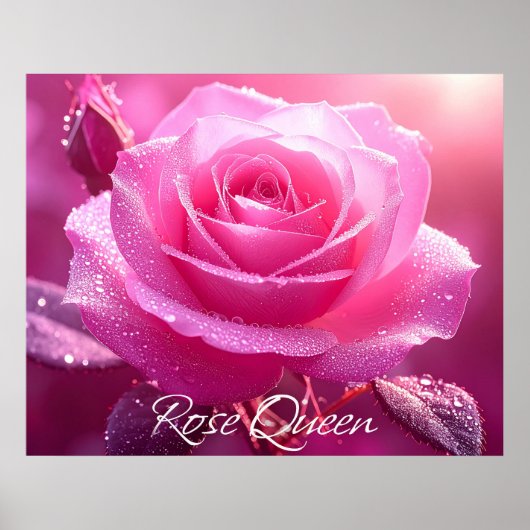 Roos Queen Poster (Voorkant)