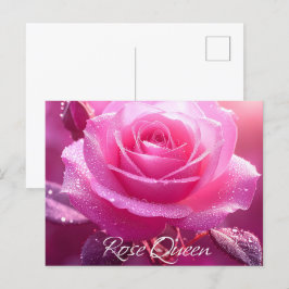 Roos Queen (roze editie) Briefkaart
