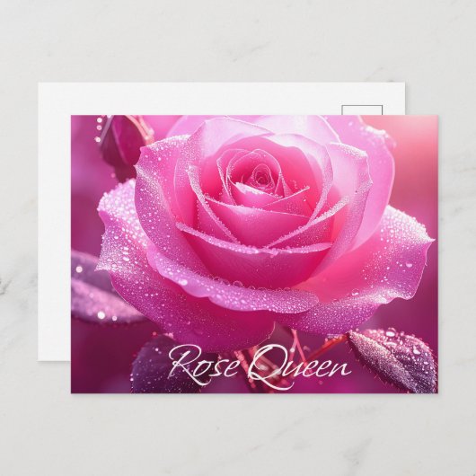 Roos Queen (roze editie) Briefkaart (Voorkant / Achterkant)
