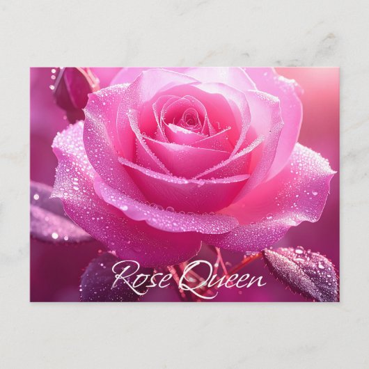Roos Queen (roze editie) Briefkaart (Voorkant)