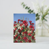 Roos-r-Red Briefkaart (Staand voorkant)