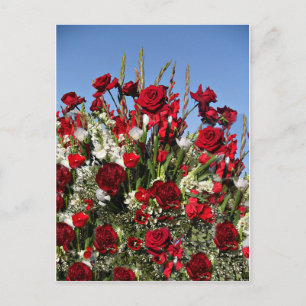 Roos-r-Red Briefkaart