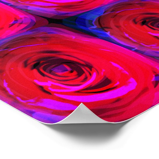 Roos Red Miami, poster (Hoek)