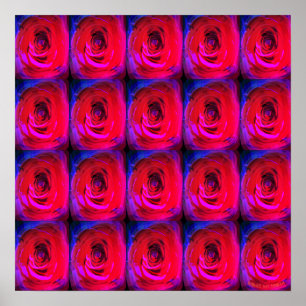Roos Red Miami, poster