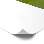 Roos reflectie poster (Hoek)