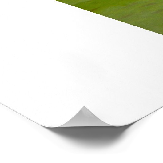 Roos reflectie poster (Hoek)