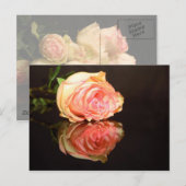 Roos Reflecties Briefkaart (Voorkant / Achterkant)