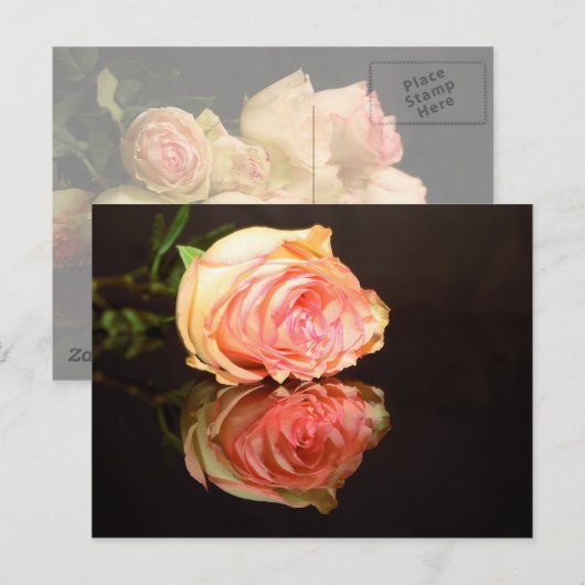 Roos Reflecties Briefkaart (Voorkant / Achterkant)