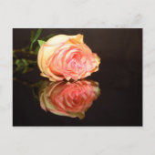 Roos Reflecties Briefkaart (Voorkant)