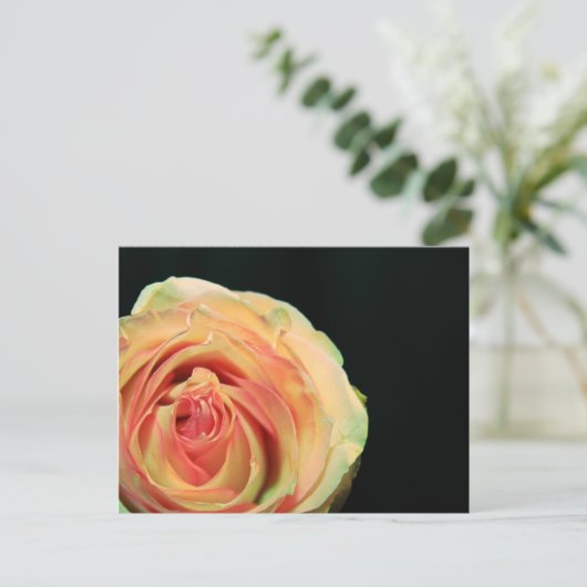 Roos Reflecties Briefkaart (Staand voorkant)