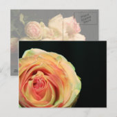 Roos Reflecties Briefkaart (Voorkant / Achterkant)