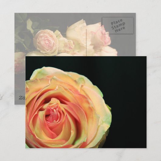Roos Reflecties Briefkaart (Voorkant / Achterkant)