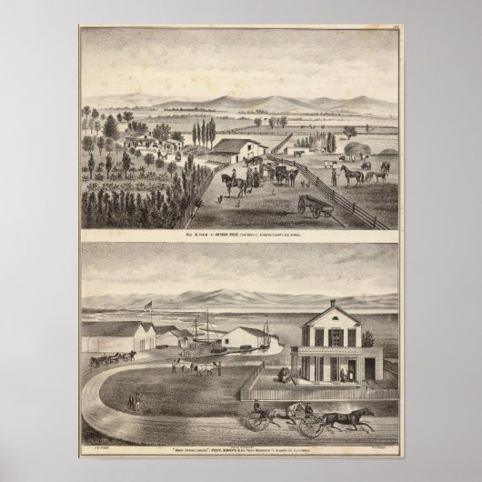 Roos res, Warm Spring Landing Poster (Voorkant)