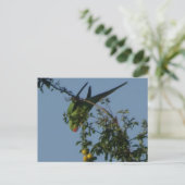 Roos-Ringed Parakeet DIY Briefkaart (Staand voorkant)