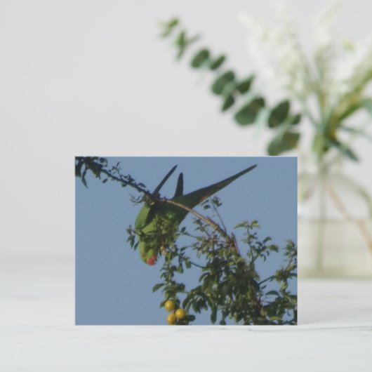 Roos-Ringed Parakeet DIY Briefkaart (Staand voorkant)